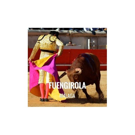 Bullfight tickets Fuengirola – Virgen del Rosario Festivities