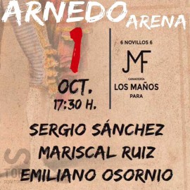 01/10 Arnedo (17:30) PDF FILE - PRINT