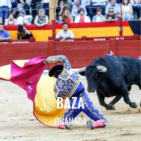 Bullfighting Fair Baza - Feria Virgen de la piedad 