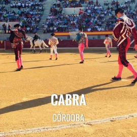 Bullfight tickets Cabra - Bullfighting Celebration