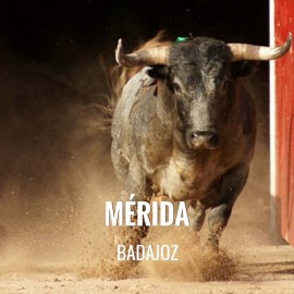 Bullfight tickets Mérida – Feria de Septiembre