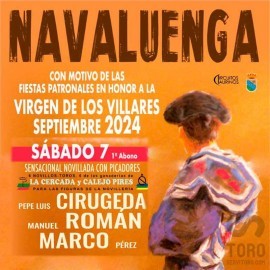 07/09 Navaluenga (18:00) Novillos