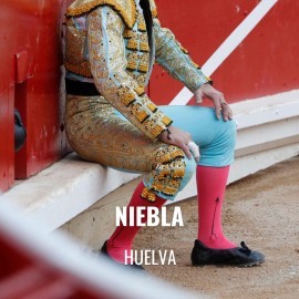 Bullfight tickets Niebla - Bulls show