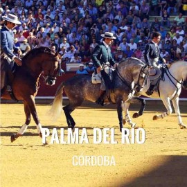 Bullfight tickets Palma Del Rio - Bullfighting Fair