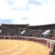 Bullring Brihuega. Guadalajara