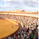 Ciudad Real. Bullring