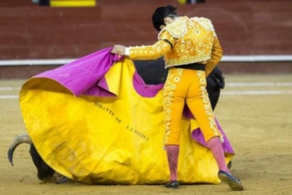 Morante de la Puebla returns to Fallas Fair