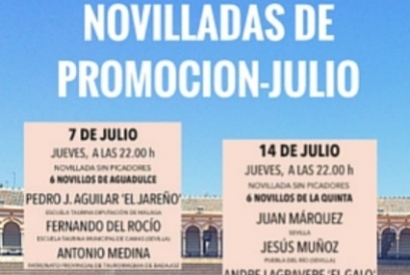 Poster Novilladas of Promotion in Seville